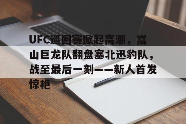 开云app下载-包含UFC巡回赛掀起高潮，嵩山巨龙队翻盘塞北迅豹队，战至最后一刻——新人首发惊艳的词条